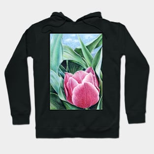 Awakening-2 Hoodie